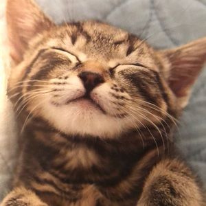 Meet your Posher, Marie